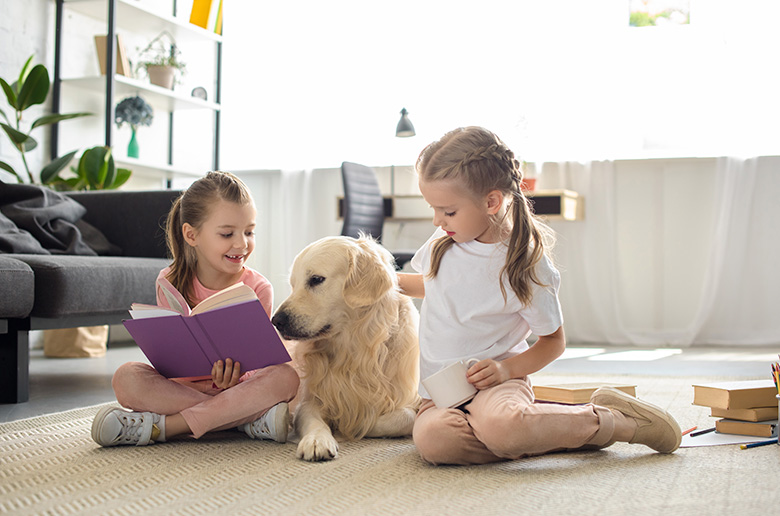 Falsificación Arancel Analgésico Beneficios del vínculo entre los niños y animales de compañía - Guardería  Inglés Valencia | Superfriends